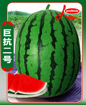 �޿�����