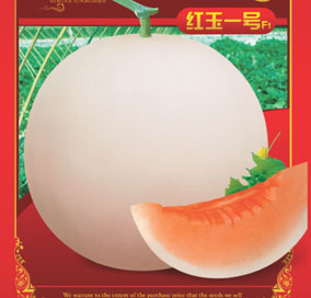 ����һ��