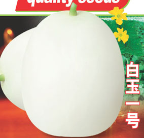 ����һ��