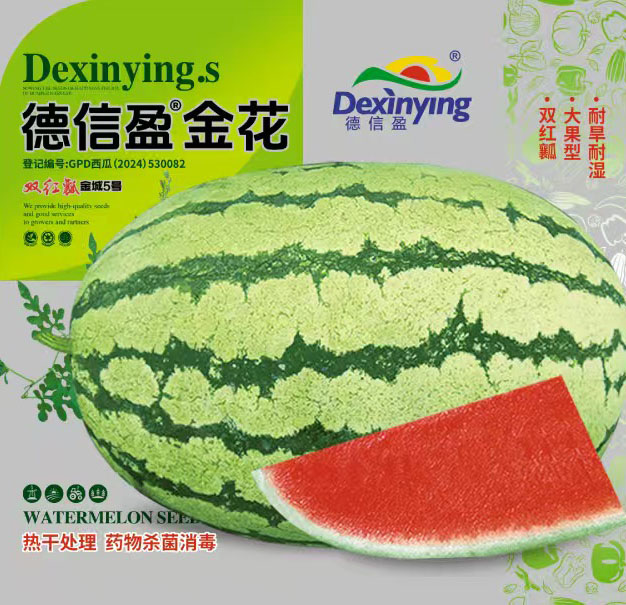 ����ӯ��